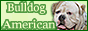 ambulldog, american bulldogs kennel 'Grand Future'
