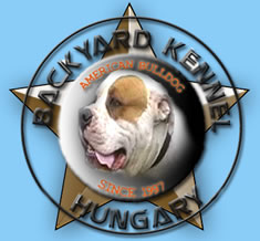 American Bulldog's Kennel  Backyard